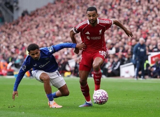 的亮点, Xte 的亮点, Xte