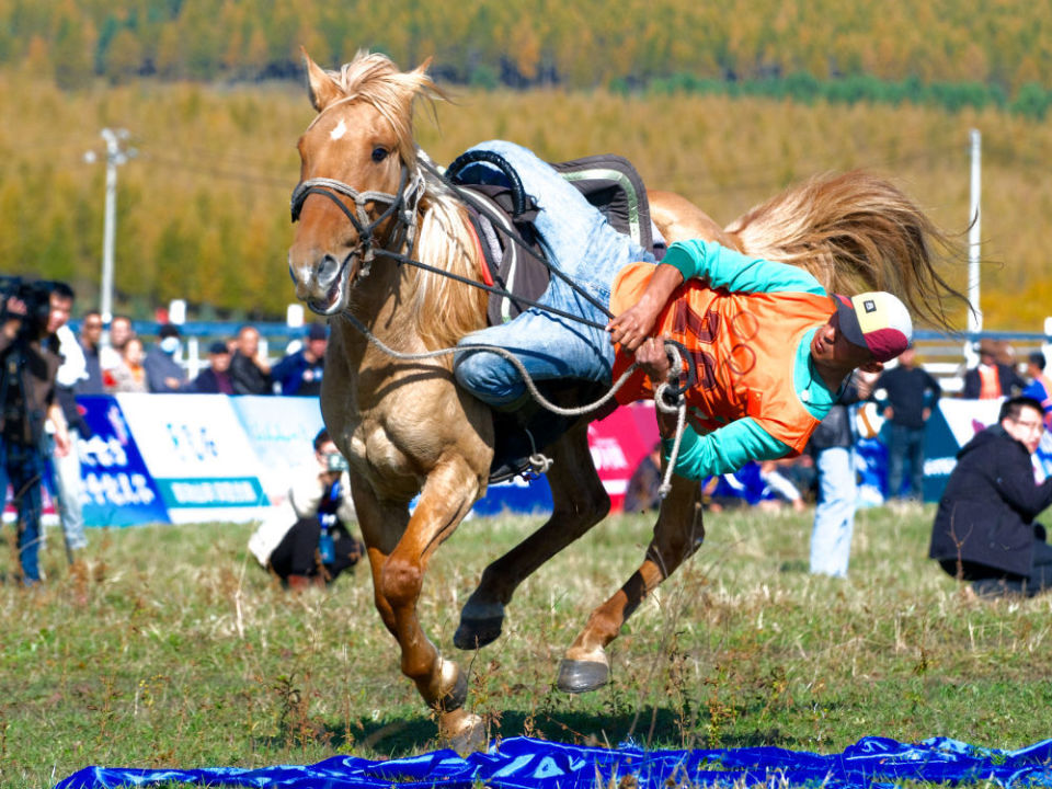 跑马拾哈达 跑马拾哈达